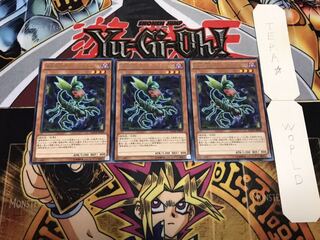 捕食植物オフリス・スコーピオ レア 3枚セット てら