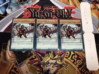 ドラコニアの獣竜騎兵 レア 3枚セット てら