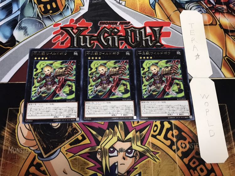 十二獣ワイルドボウ レア 3枚セット てら