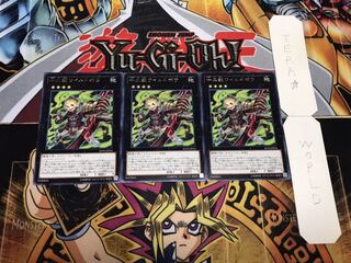 十二獣ワイルドボウ レア 3枚セット てら