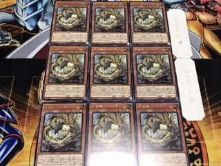 天威龍-アーダラ レア 9枚セット てら