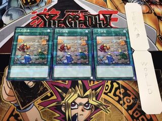 化石調査 ノーマルパラレル 3枚セット てら