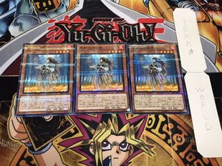 不知火の隠者 ノーマルパラレル 3枚セット てら