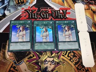 禁じられた聖杯 スーパー 3枚セット てら