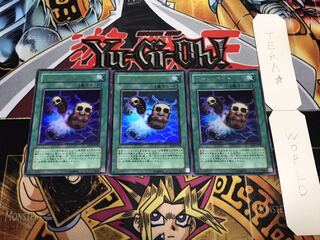 ワーム・ベイト ウルトラ 3枚セット てら