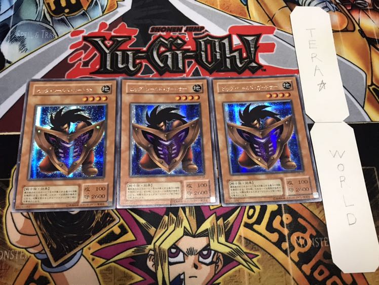 ビッグ・シールド・ガードナー 2期ver シークレット 3枚セット てら