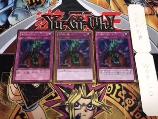 Bottomless Trap Hole Gold, Set of 3, Terra