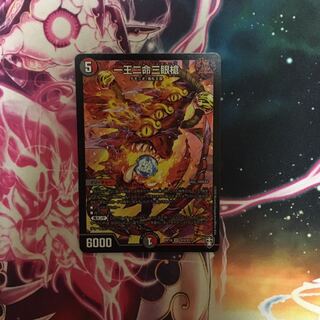 一王二命三眼槍　専用