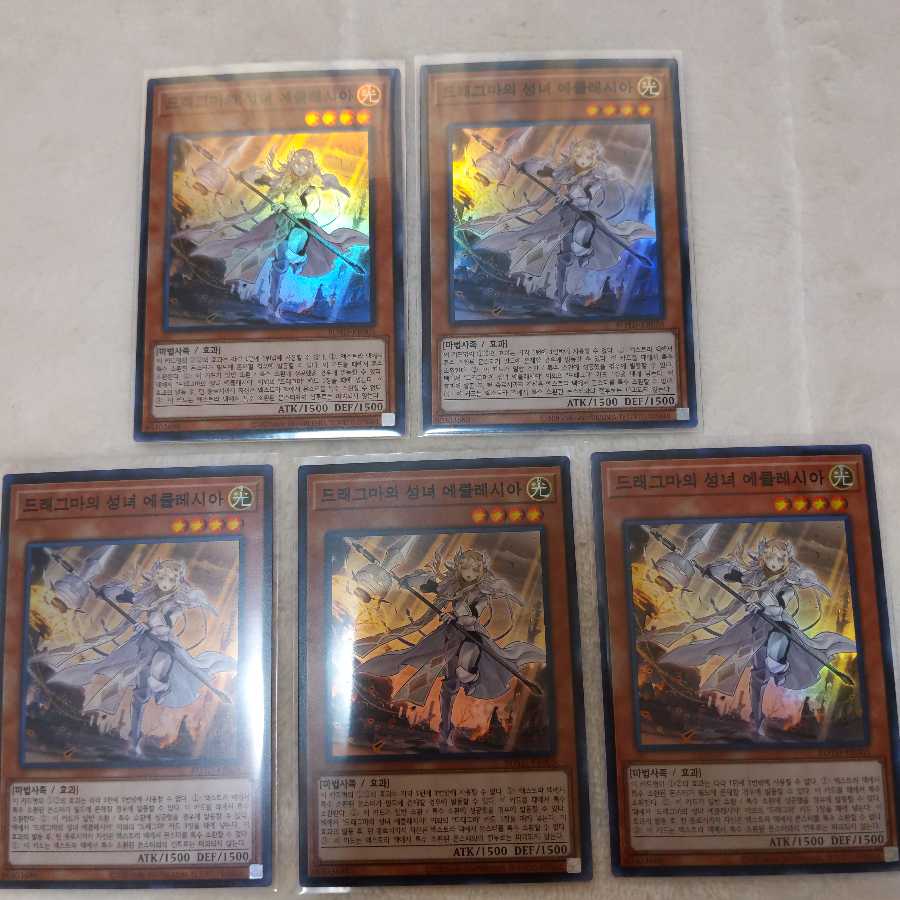 遊戯王 教導の聖女エクレシア スーパーレア5枚 韓国版