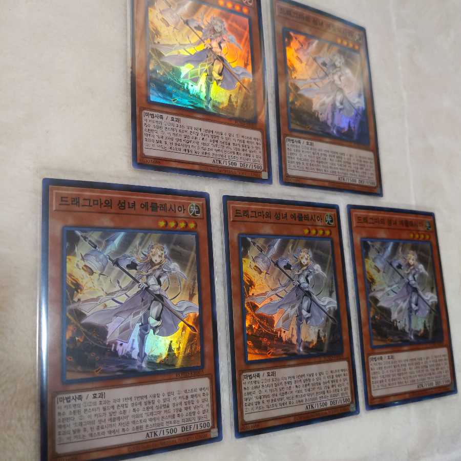 遊戯王 教導の聖女エクレシア スーパーレア5枚 韓国版