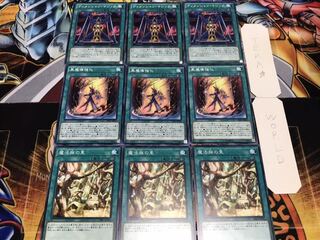 魔法族の里 強化 マジック ノーマル 各3枚セット まとめ てら