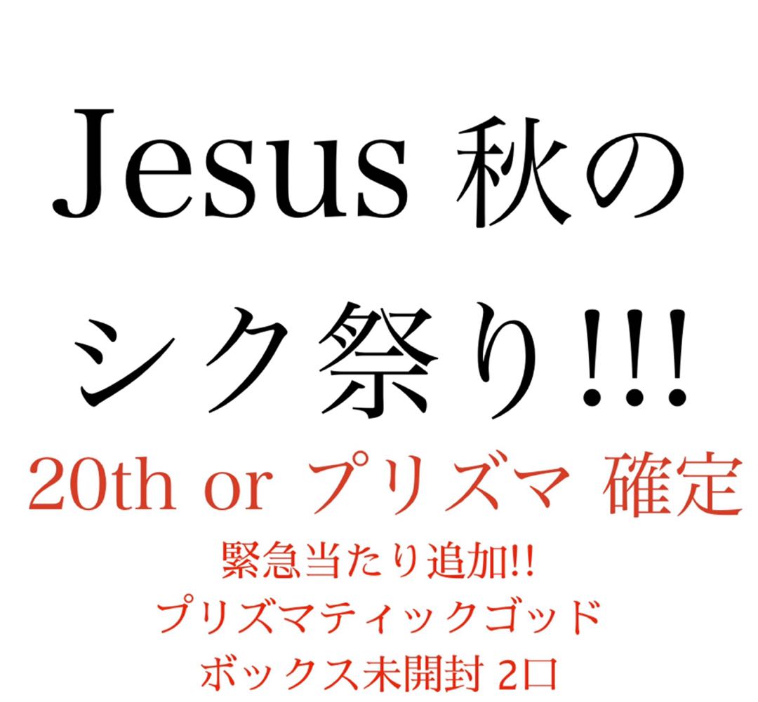 HiLo様専用 Jesus 秋のシク祭り 2口