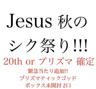 HiLo様専用 Jesus 秋のシク祭り 2口