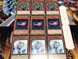 エフェクト ニードル マンジュ ノーマル 各3枚セット まとめ てら 3枚