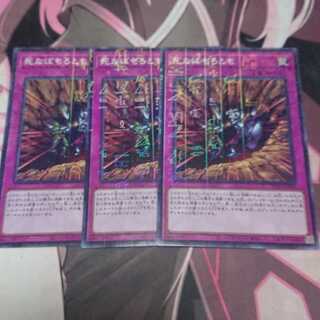 死なばもろとも 3枚