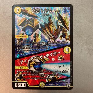 奇石 トランキー｜アイ・オブ・ザ・タイガー