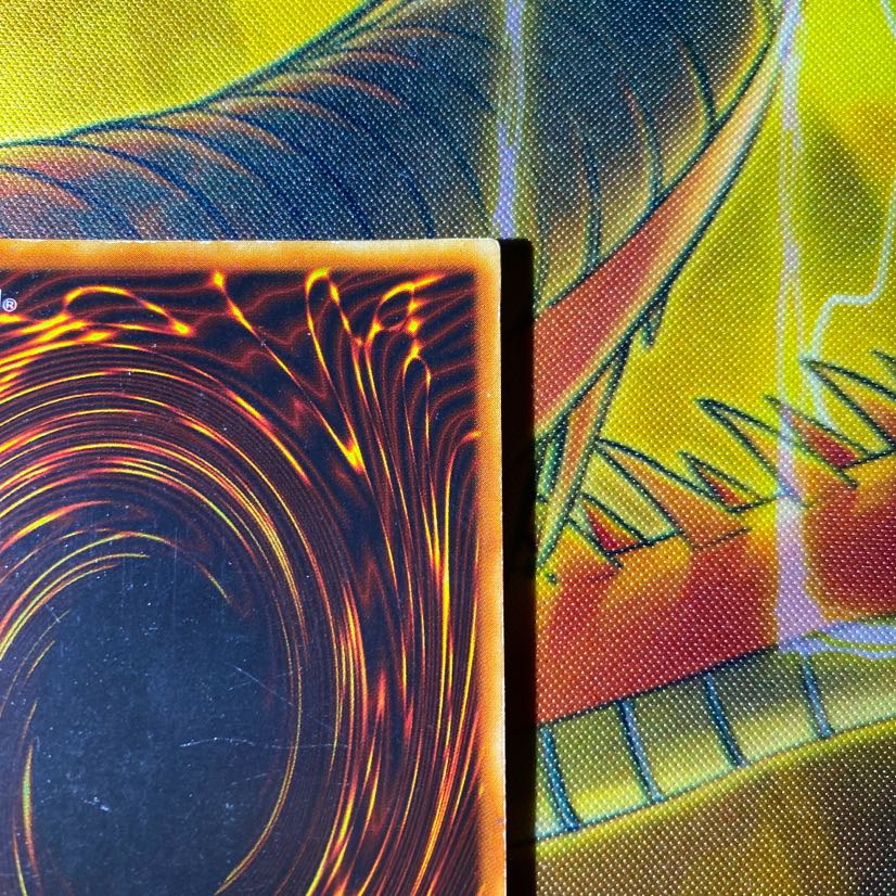 専用　遊戯王　青眼の白龍　初期ウルトラ