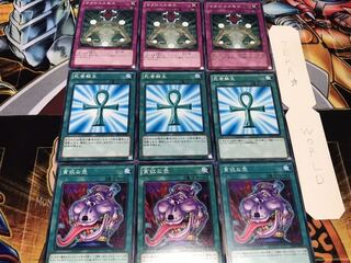 貪欲な壺 死者蘇生 マクロコスモス ノーマル 各3枚セット まとめ てら