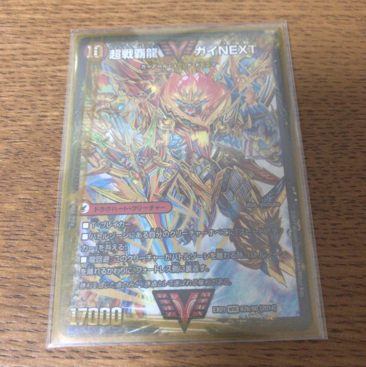 ハートバーン/ガイnext 1枚