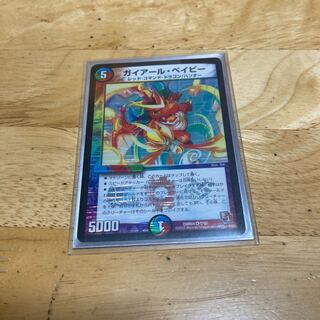 募集　ガイアール・ベイビー