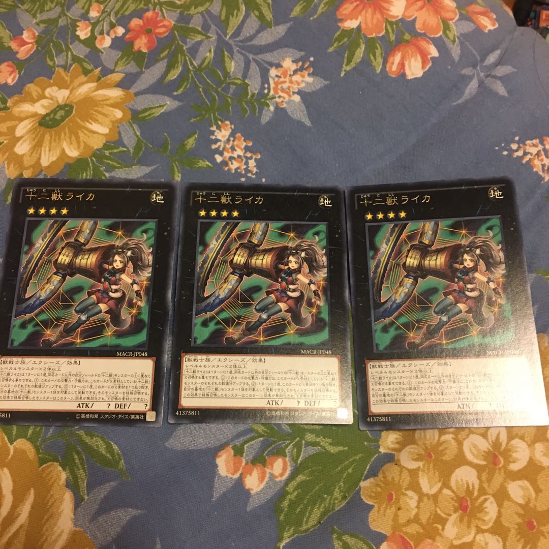 十二獣ライカ レア