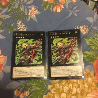 十二獣ワイルドボウ レア