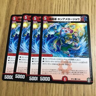 雨跳者 ホンアメヨージョウ