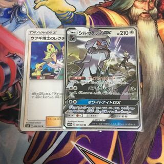 つたたー様専用 シルヴァディGX ウツギ博士のレクチャー