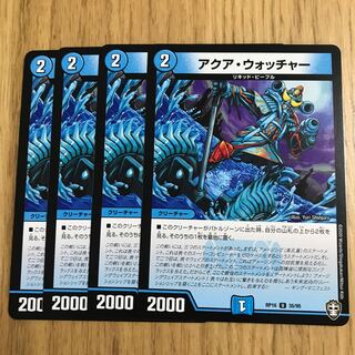 アクア・ウォッチャー