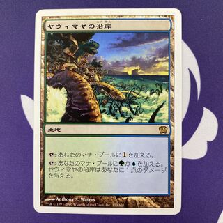 MTG 日本語　FOIL ヤヴィマヤの沿岸　APC ヤヴィマヤの沿岸 [APC] 【BIGWEB | MTG】日本最大級の激安