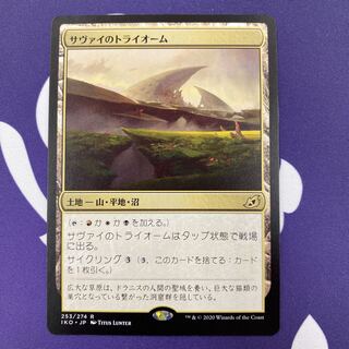 サヴァイのトライオーム