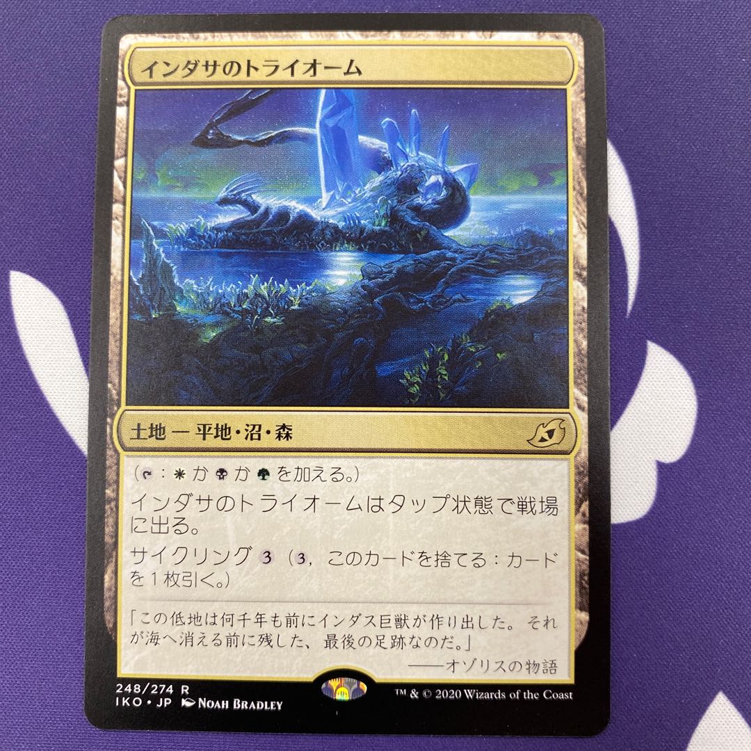 インダサのトライオーム