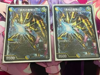 「雷光の聖騎士」2枚