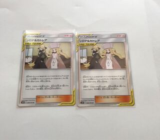 シロナ＆カトレア  2枚