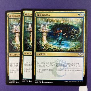 成長のらせん 3枚