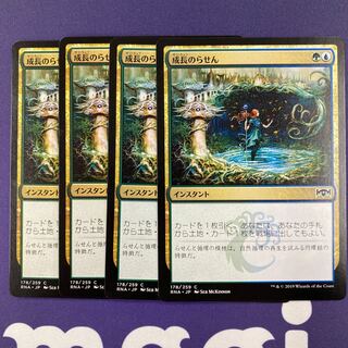 成長のらせん 4枚