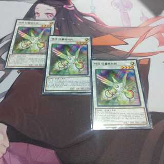 韓国　虹光の宣告者　ノーマル　LVP3