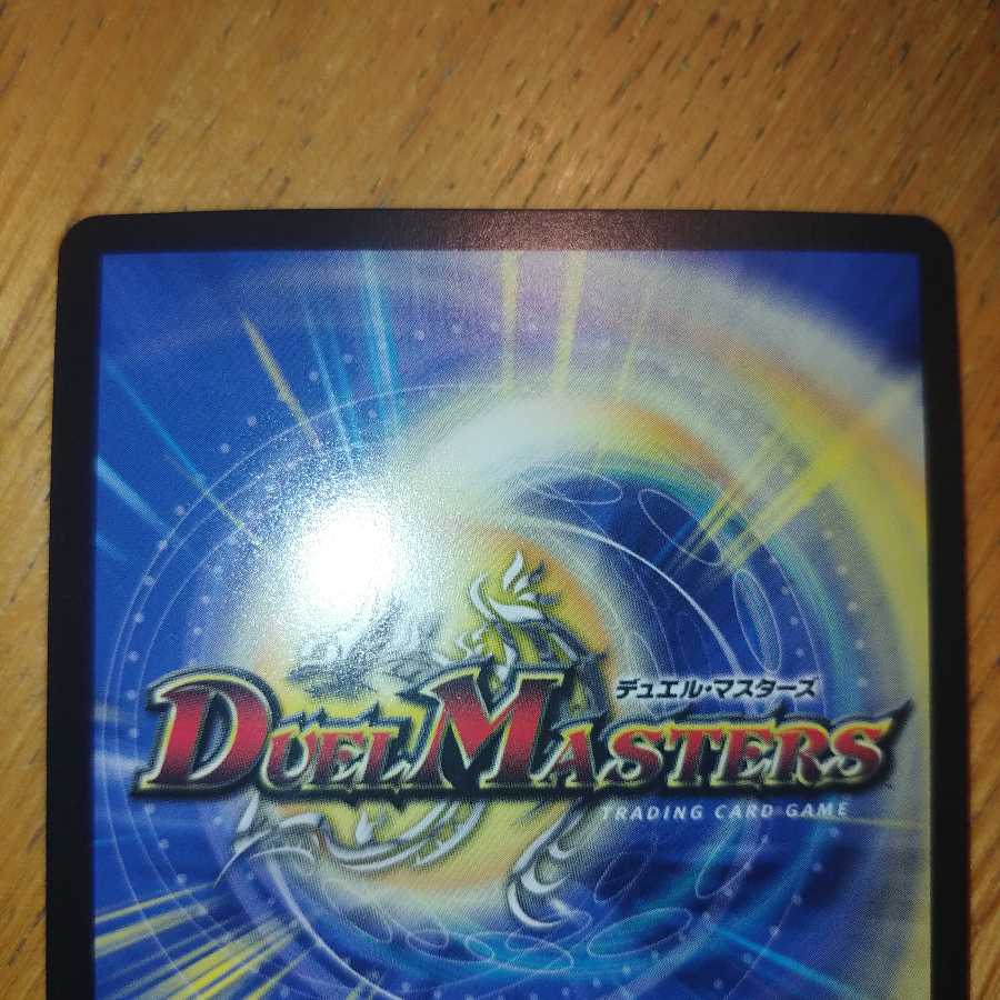 偽りの王 ヴィルヘルム SR