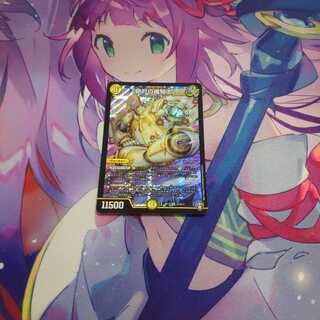 「絶対の楯騎士」