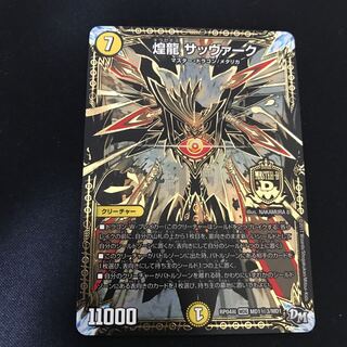 煌龍 サッヴァーク SE