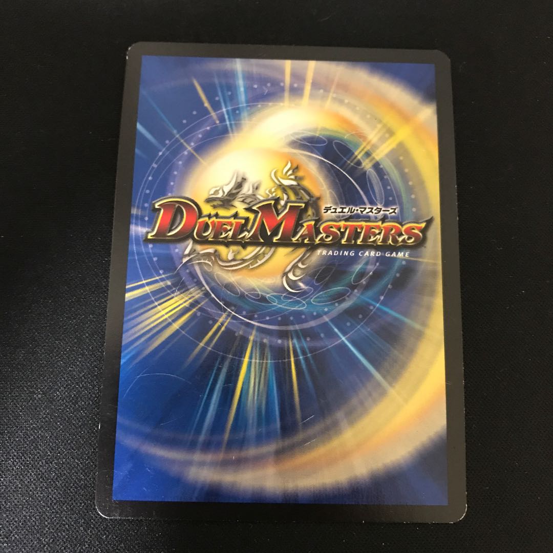 煌龍 サッヴァーク SE