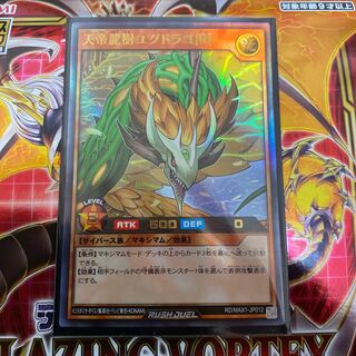 ◉天帝龍樹ユグドラゴR