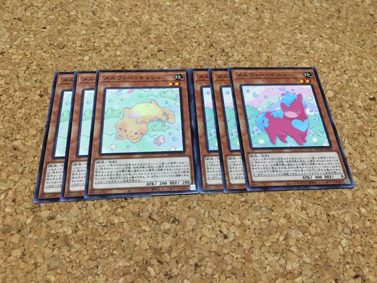 メルフィー・キャシィ