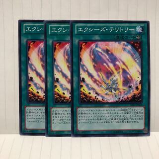 エクシーズ・テリトリー ノーマル　3枚　マホ子