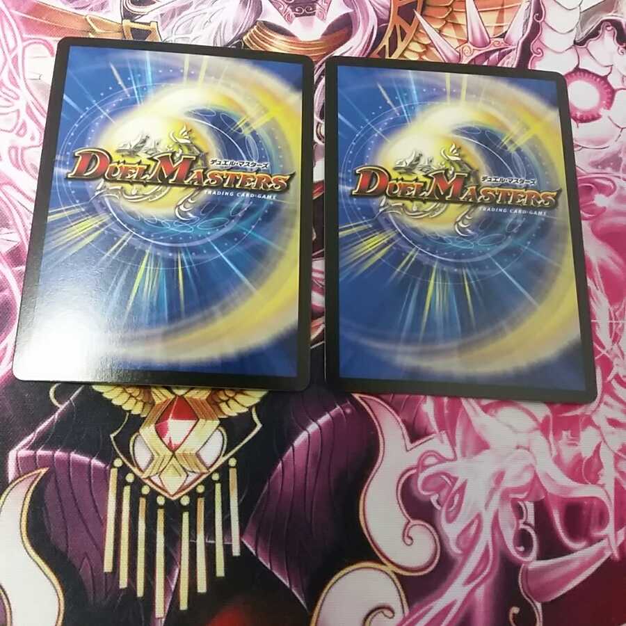 煌龍サッヴァーク シク2 2枚セット