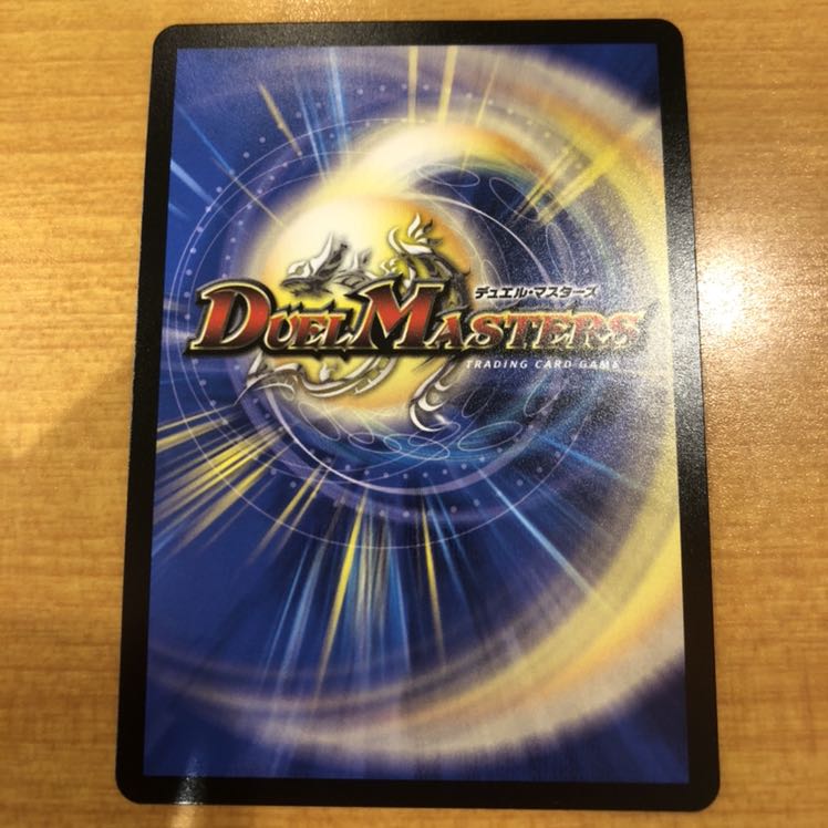 【最安値】スパダチ キャンベロR 1枚