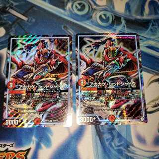 アカカゲ・レッドシャドウ