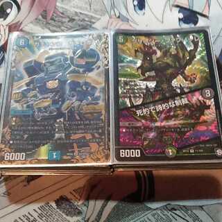 水自然バラギアラデッキ