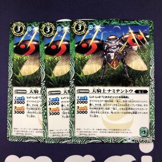 天騎士ナミテントウ 3枚