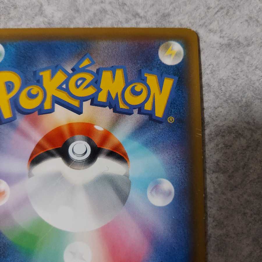 エリカのおもてなし SR